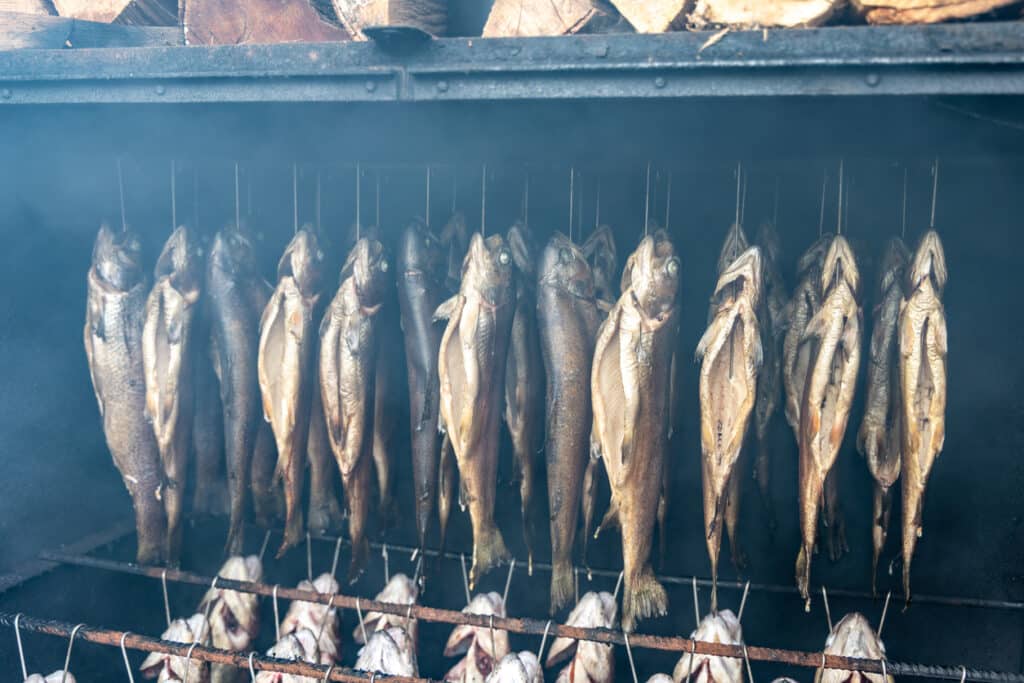Fish Hanging on Metal Hooks in A Fishery As Part of the Processing